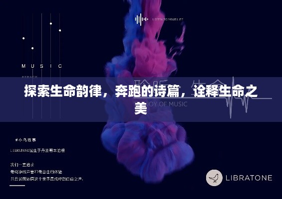 探索生命韵律，奔跑的诗篇，诠释生命之美