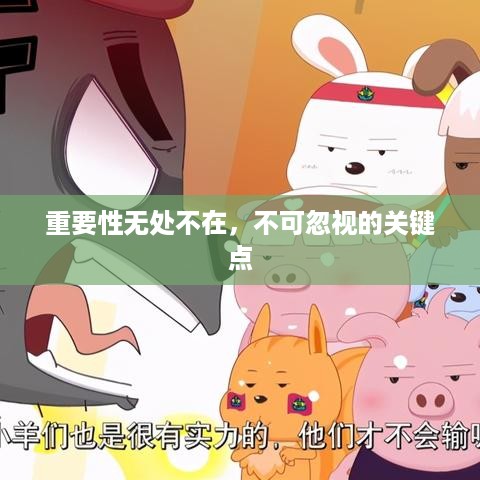 重要性无处不在，不可忽视的关键点