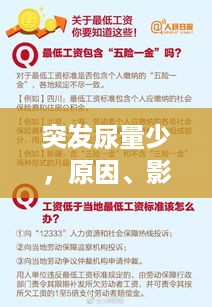 突发尿量少，原因、影响及应对方法详解