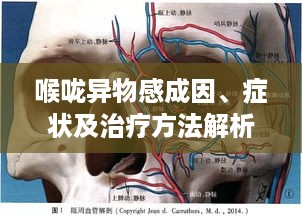 喉咙异物感成因、症状及治疗方法解析