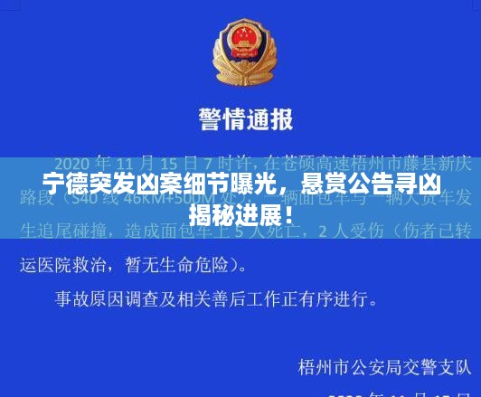 宁德突发凶案细节曝光，悬赏公告寻凶揭秘进展！