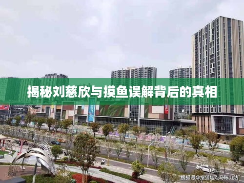 揭秘刘慈欣与摸鱼误解背后的真相