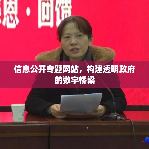 信息公开专题网站，构建透明政府的数字桥梁