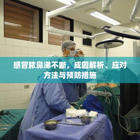 感冒脓鼻涕不断，成因解析、应对方法与预防措施