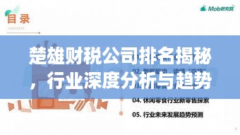 楚雄财税公司排名揭秘，行业深度分析与趋势解读