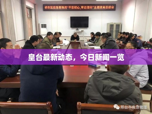 迷离马虎