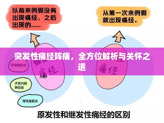 公证管理 第47页