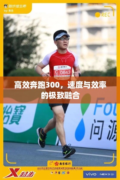 高效奔跑300，速度与效率的极致融合