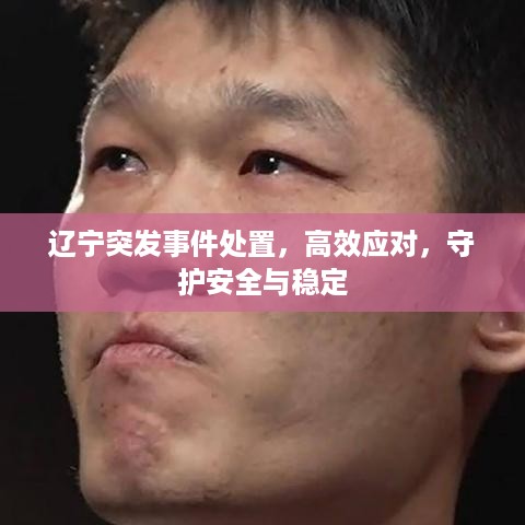 辽宁突发事件处置，高效应对，守护安全与稳定