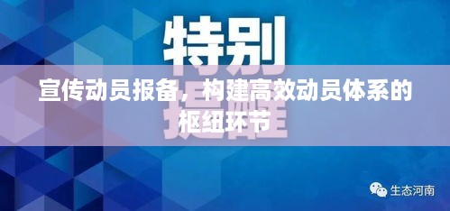 宣传动员报备，构建高效动员体系的枢纽环节