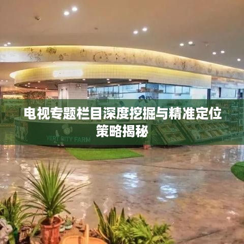 电视专题栏目深度挖掘与精准定位策略揭秘