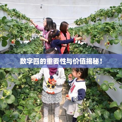 推襟送抱