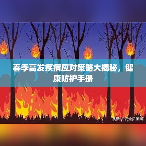 公证管理 第25页