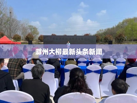 滁州大柳最新头条新闻