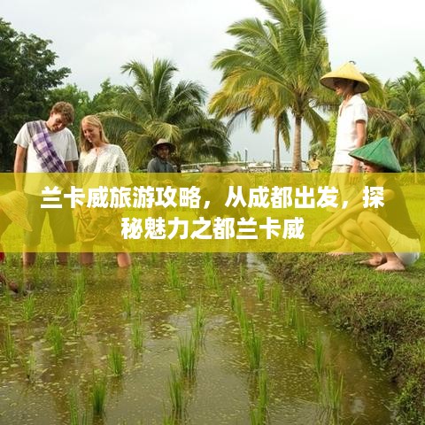 明夷于飞