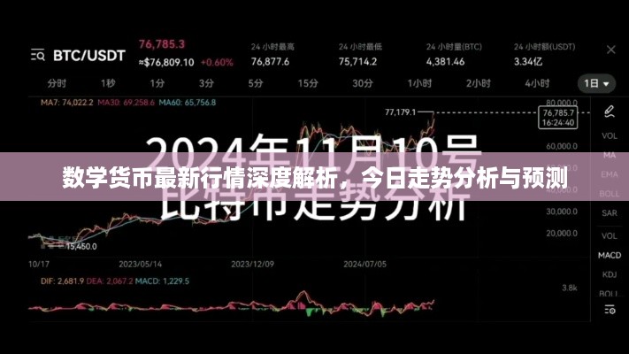 数学货币最新行情深度解析，今日走势分析与预测