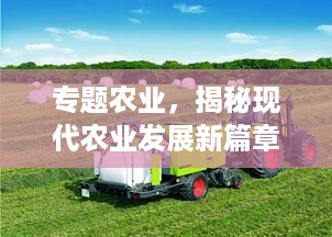 沉灶生蛙