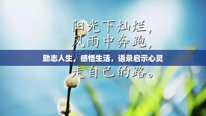 nifengfeiyang