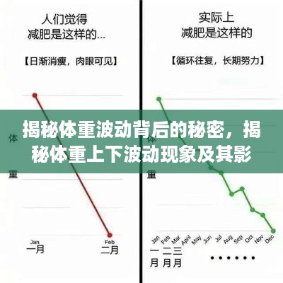 揭秘体重波动背后的秘密，揭秘体重上下波动现象及其影响因素