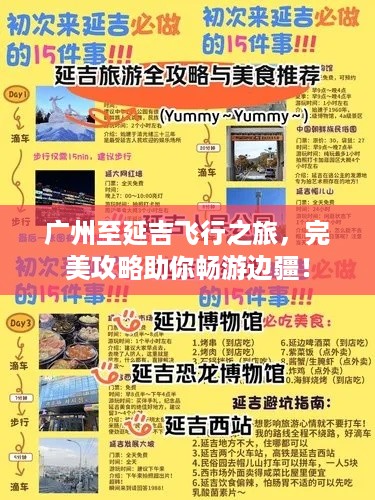 公证管理 第14页