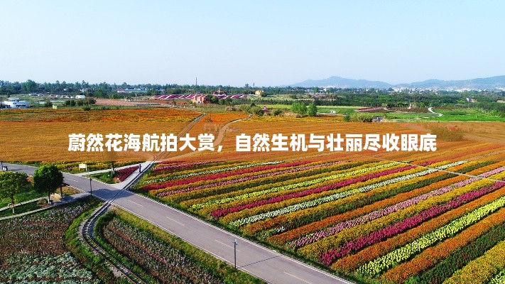 公证管理 第13页