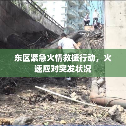 草草了事