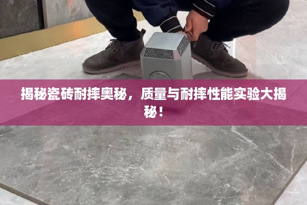 存证 第9页