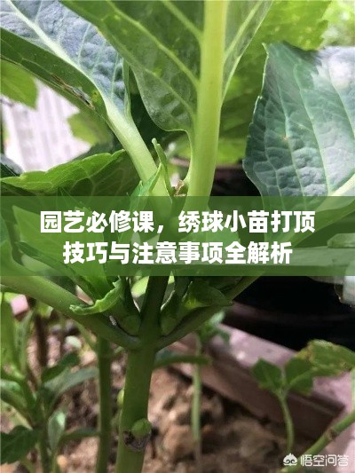 2025年4月 第8页