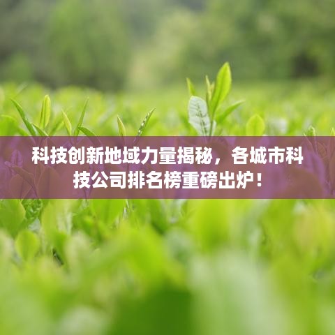 科技创新地域力量揭秘，各城市科技公司排名榜重磅出炉！