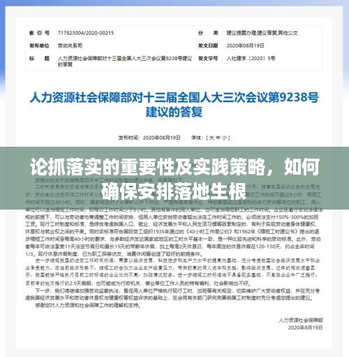 论抓落实的重要性及实践策略，如何确保安排落地生根