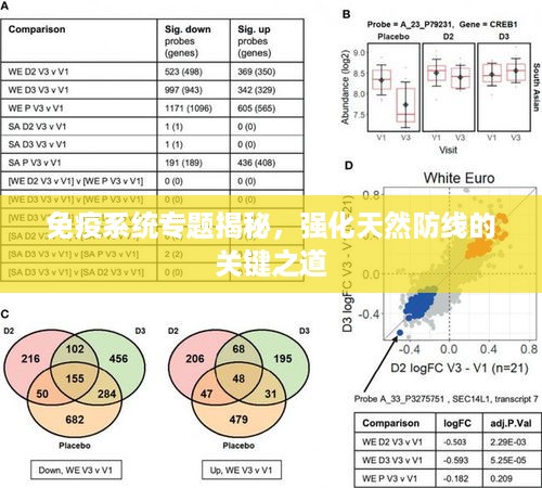 免疫系统专题揭秘，强化天然防线的关键之道