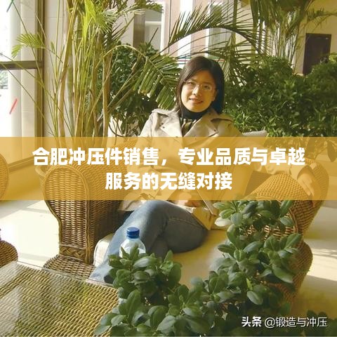 合肥冲压件销售，专业品质与卓越服务的无缝对接