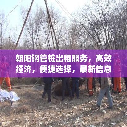 朝阳钢管桩出租服务，高效经济，便捷选择，最新信息资讯