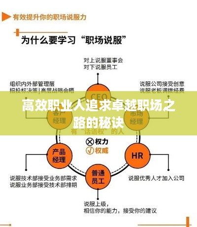高效职业人追求卓越职场之路的秘诀