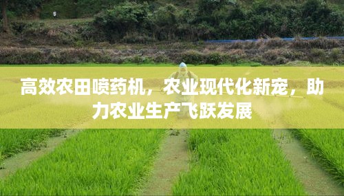 高效农田喷药机，农业现代化新宠，助力农业生产飞跃发展