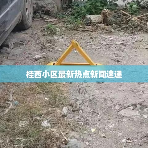 桂西小区最新热点新闻速递