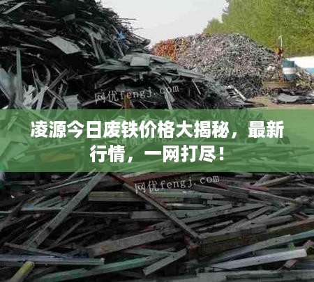 凌源今日废铁价格大揭秘，最新行情，一网打尽！