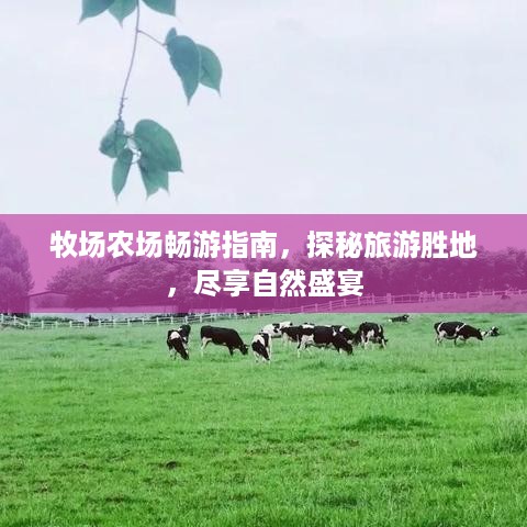 牧场农场畅游指南，探秘旅游胜地，尽享自然盛宴