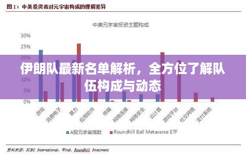 伊朗队最新名单解析，全方位了解队伍构成与动态