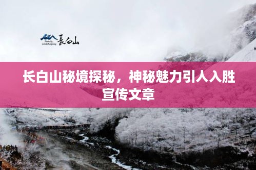 长白山秘境探秘，神秘魅力引人入胜宣传文章