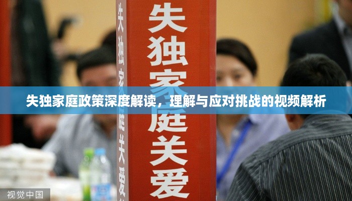 失独家庭政策深度解读，理解与应对挑战的视频解析