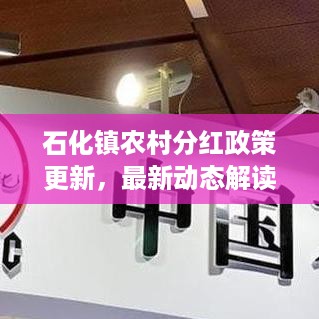 石化镇农村分红政策更新，最新动态解读