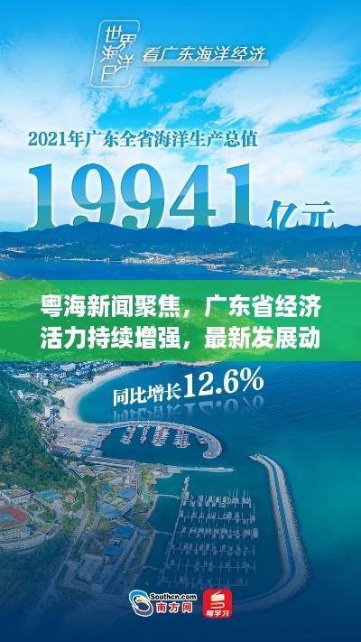 粤海新闻聚焦，广东省经济活力持续增强，最新发展动态揭秘！