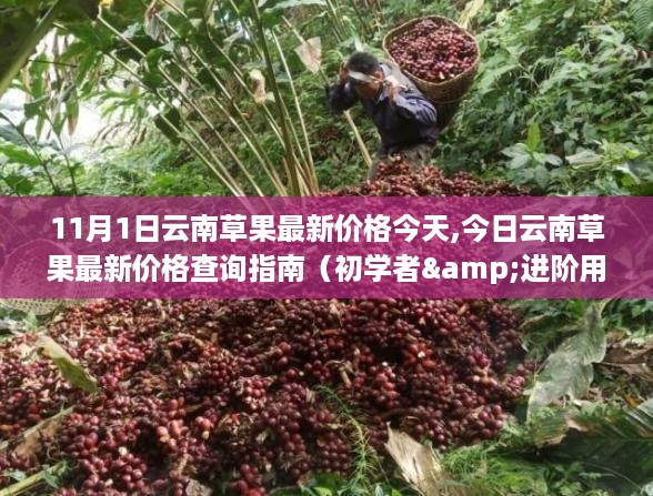 花开无言 第34页