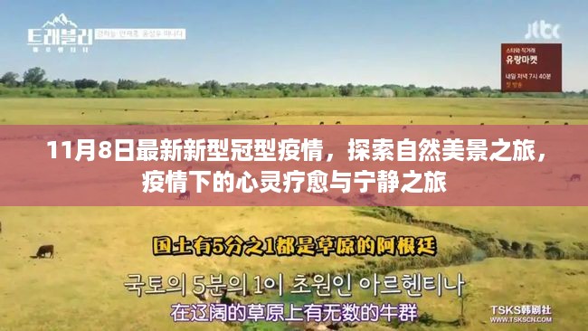 手舞足蹈 第19页