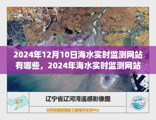花开无言 第4页