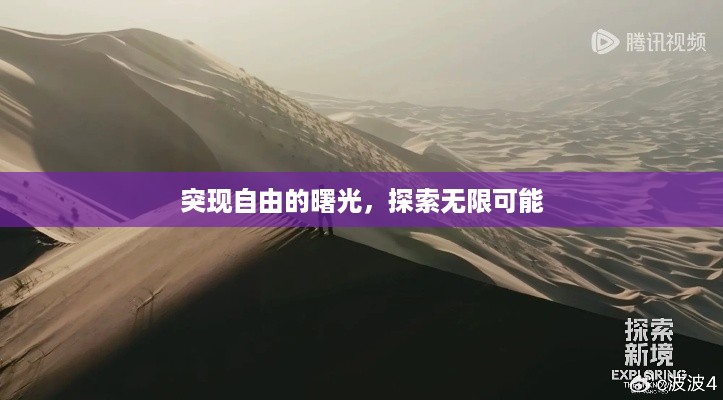 各就各位 第3页
