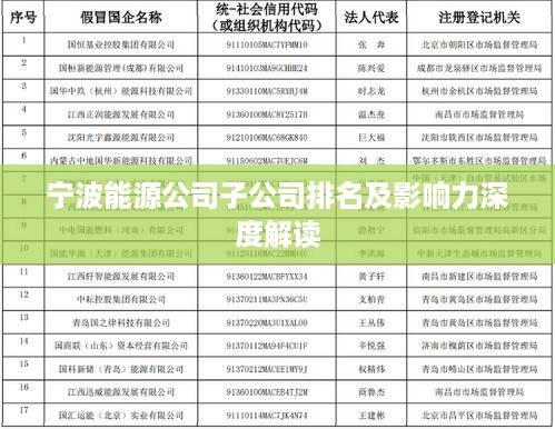 宁波能源公司子公司排名及影响力深度解读