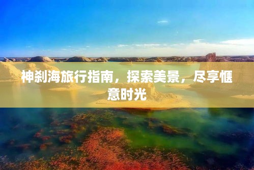 2025年6月 第81页