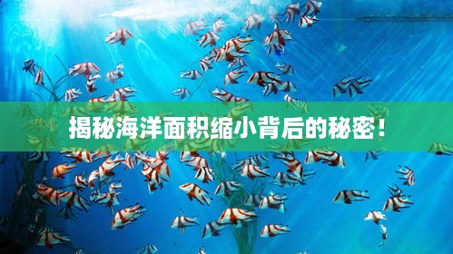揭秘海洋面积缩小背后的秘密！